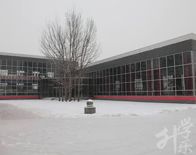 北京市国际舞蹈艺术学校